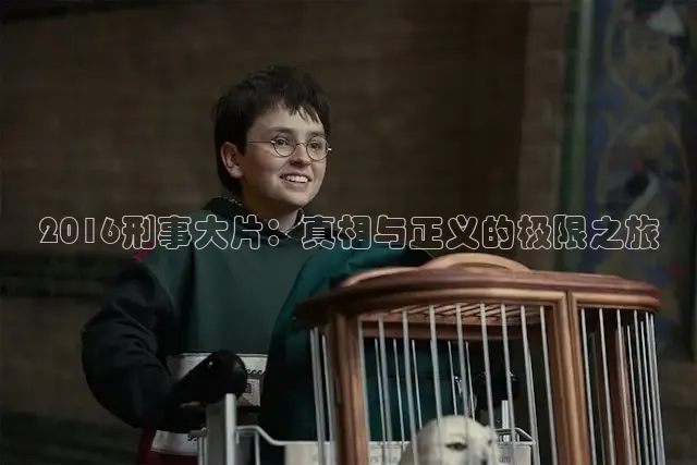 2016刑事大片：真相与正义的极限之旅