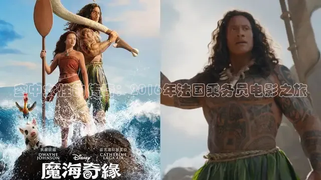 空中女性的传奇：2016年法国乘务员电影之旅